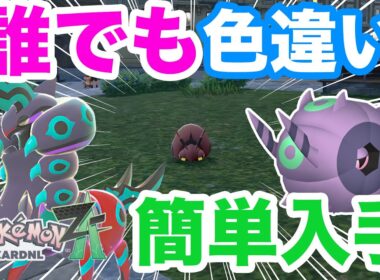 【ポケモンZA】誰でも簡単！色違いメガペンドラーの入手方法！【フシデ】【ホイーガ】
