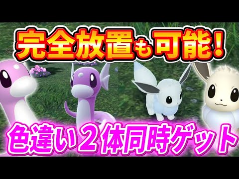 【ポケモンZA】色違いミニリュウとイーブイを2体同時ゲットできる厳選方法！【ポケモンレジェンズZA】