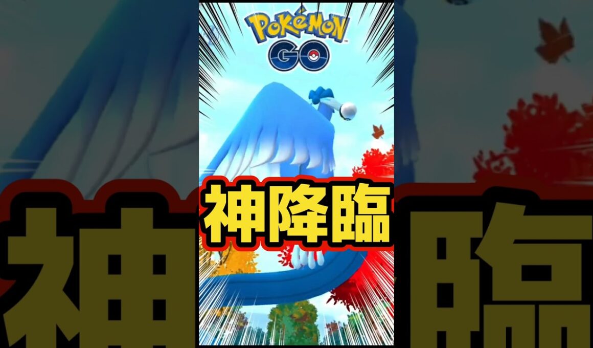 ガラルフリーザーチャレンジ!!【ポケモンGO】【PokemonGO】