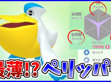 世界一柔らかい「最薄ペリッパー」が冗談抜きで強い【ポケモン剣盾】