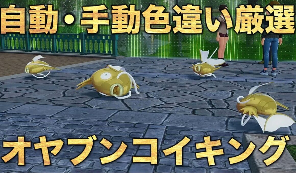 【オヤブン色違い!!】金のコイキング編!!【ポケモンZA】