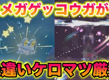 色違いケロマツ厳選して色メガゲッコウガ見ようとしたら予想外の展開になったんだがwww【レジェンズZA】