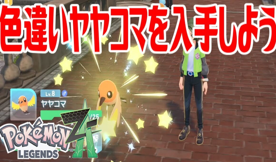 【ポケモンZ-A】色違いヤヤコマを入手しよう【Pokémon LEGENDS Z-A】