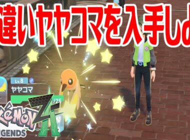 【ポケモンZ-A】色違いヤヤコマを入手しよう【Pokémon LEGENDS Z-A】