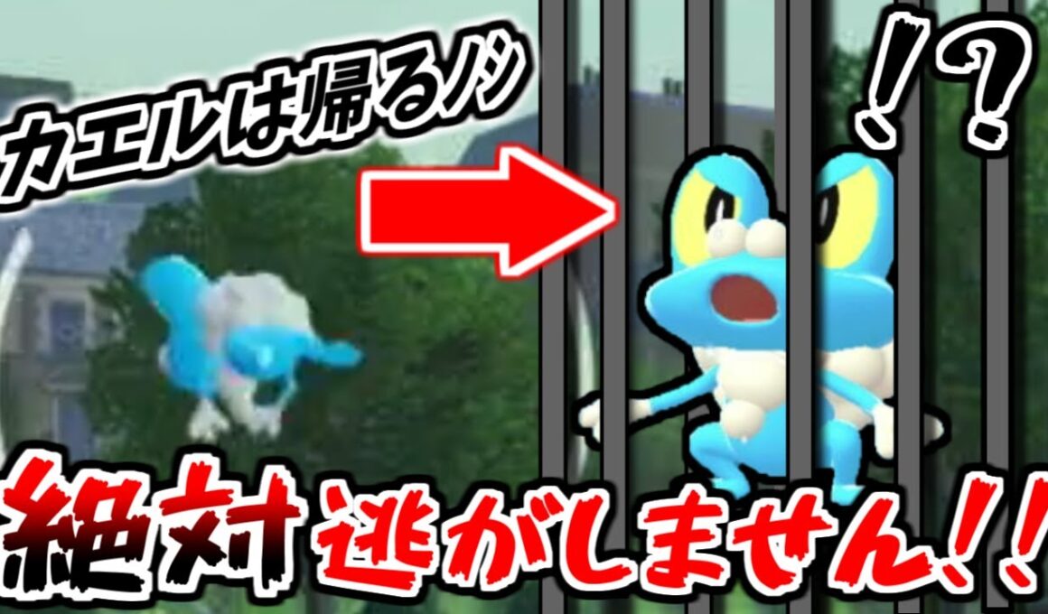 【レジェンズZA】ケロマツに逃げられる方必見！この方法なら逃げられずに簡単にケロマツを捕獲出来ます！！