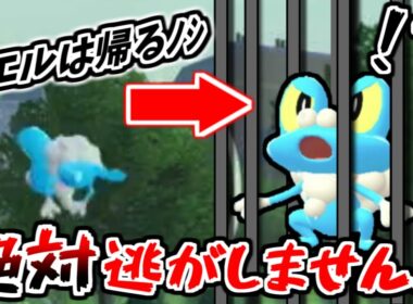 【レジェンズZA】ケロマツに逃げられる方必見！この方法なら逃げられずに簡単にケロマツを捕獲出来ます！！