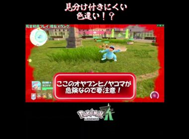 【色違い】ヒポポタスの色違い！？【切り抜き／ポケモンレジェンズZA】 #ヒポポタス #PokemonLegendsZA #shorts