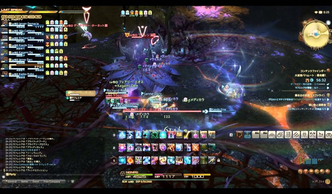 大迷宮バハムート侵攻編第一層ラフレシア音声解説付き攻略動画