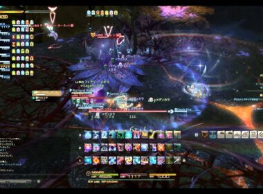 大迷宮バハムート侵攻編第一層ラフレシア音声解説付き攻略動画