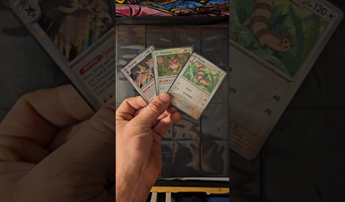 Pokedex Entry #51: Furret, Hoothoot, Noctowl