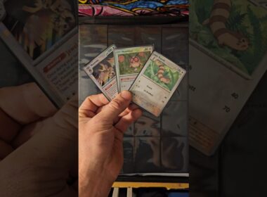 Pokedex Entry #51: Furret, Hoothoot, Noctowl