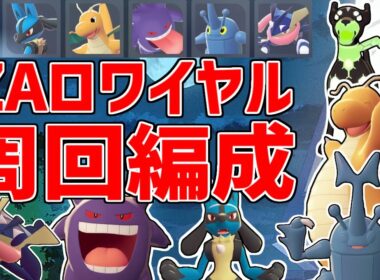 ZAロワイヤル∞の周回パーティー・立ち回りを紹介！ヘラクロスの連続技が優秀だったりしんそくだったり Pokémon LEGENDS Z-A【レジェンズZA】