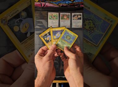 Pokedex Entry #52: Spinarak, Chinchou, Lanturn