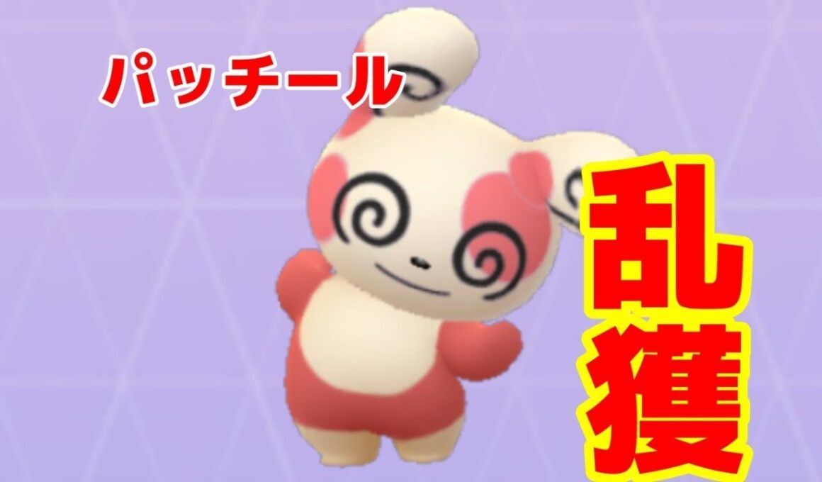 パッチール全種類ＧＥＴできるのか！？