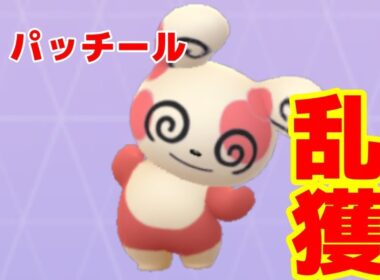 パッチール全種類ＧＥＴできるのか！？