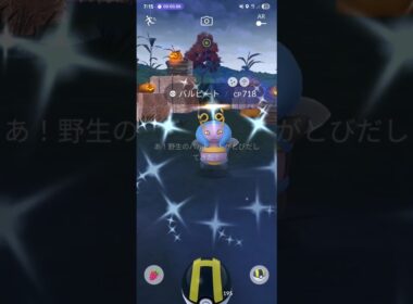 おしり振るのかわいすぎでしょ🤭　色違い　バルビート　ポケモンGO