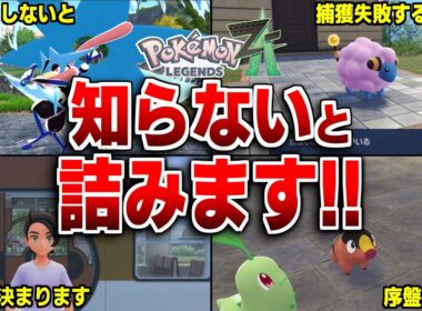 レジェンズZAで知らないと詰む要素11選【レジェンズZA】