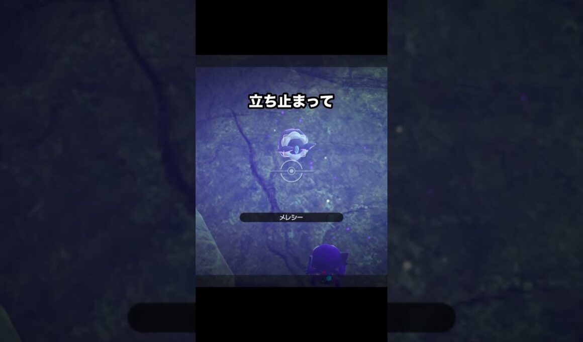 ご馳走を追いかけるヤミラミ #ポケモン #newポケモンスナップ