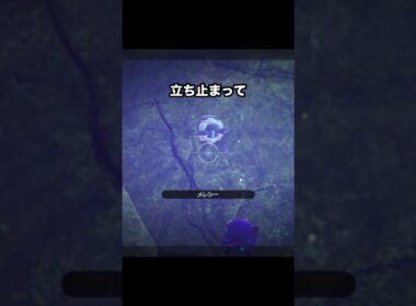 ご馳走を追いかけるヤミラミ #ポケモン #newポケモンスナップ