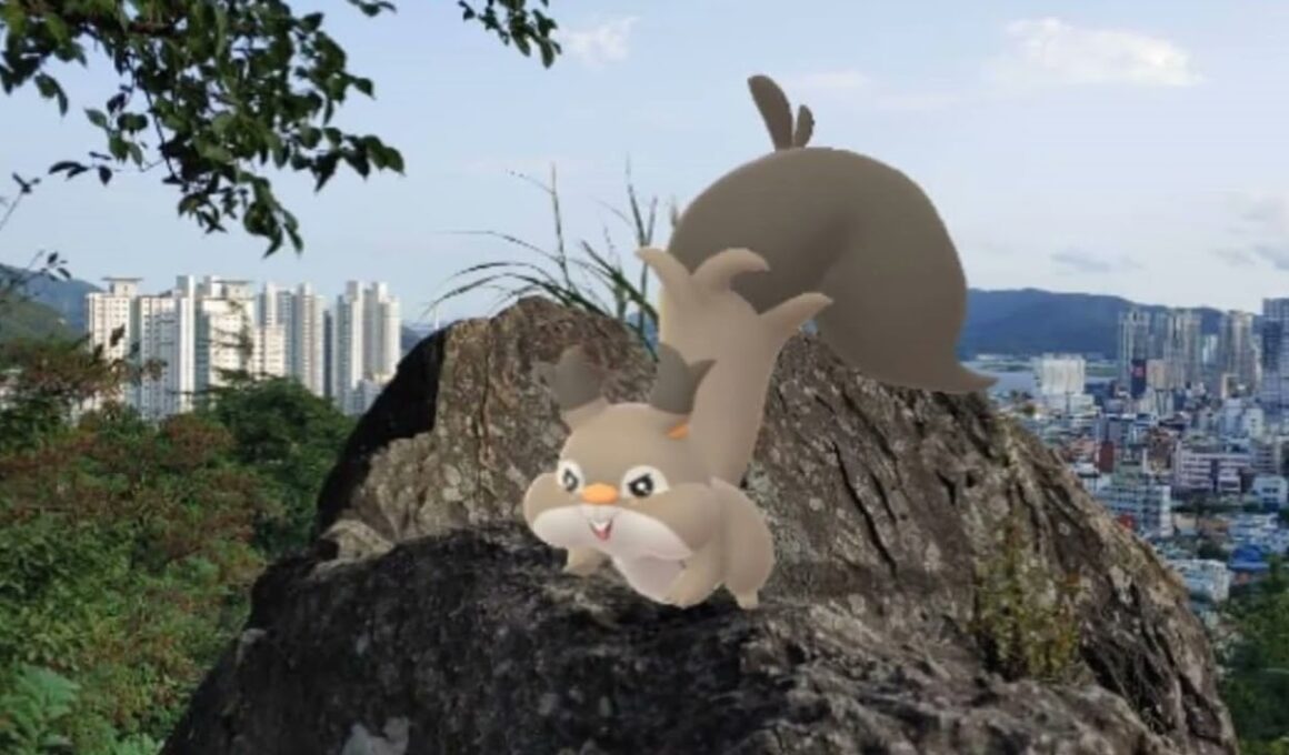 [GO Snapshot Slideshow]  탐리스 ( Skwovet ) ホシガリス ( 貪心栗鼠 )