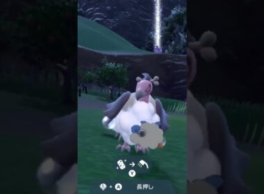 バルジーナ Mandibuzz【ポケモンsv】