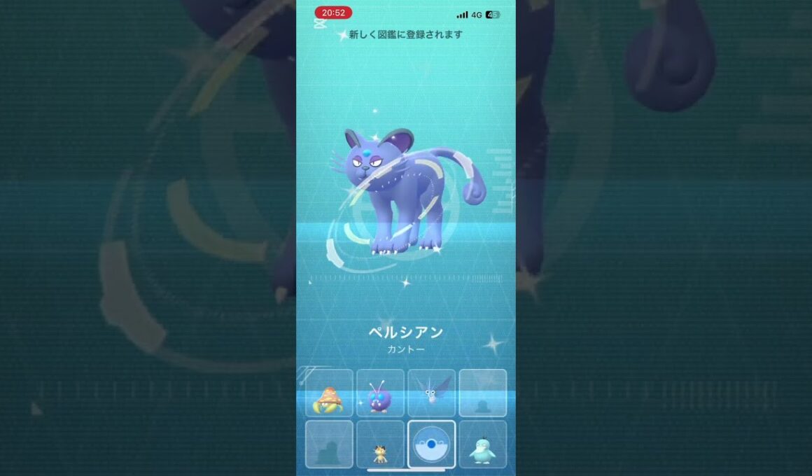 #Pokémon Go #ニャース色違い#ペルシアン進化#ポケモンゴー