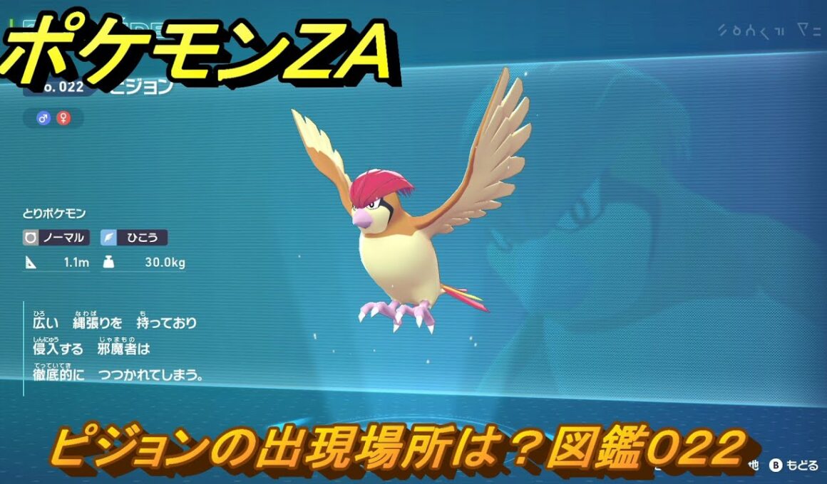 ポケモンＺＡ　ピジョンの出現場所は？図鑑０２２　＃５２　【Pokémon LEGENDS Z-A】