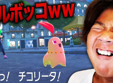 【ポケモンZA】最強のチコリータで小学生をボコボコにして、大泣きさせたかったww