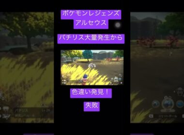 【ポケモンレジェンズアルセウス】パチリス大量発生から色違い発見！ #pokemon  #ポケモン #shorts #パチリス #pachirisu #レジェンズアルセウス
