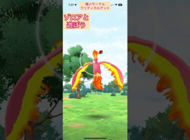 ゾロアと遊ぼう【難易度低】色違いファイヤー極小サークルクリティカルゲット【ポケモンGO】