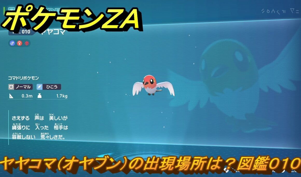 ポケモンＺＡ　ヤヤコマ（オヤブン）の出現場所は？図鑑０１０　＃４３５　【Pokémon LEGENDS Z-A】