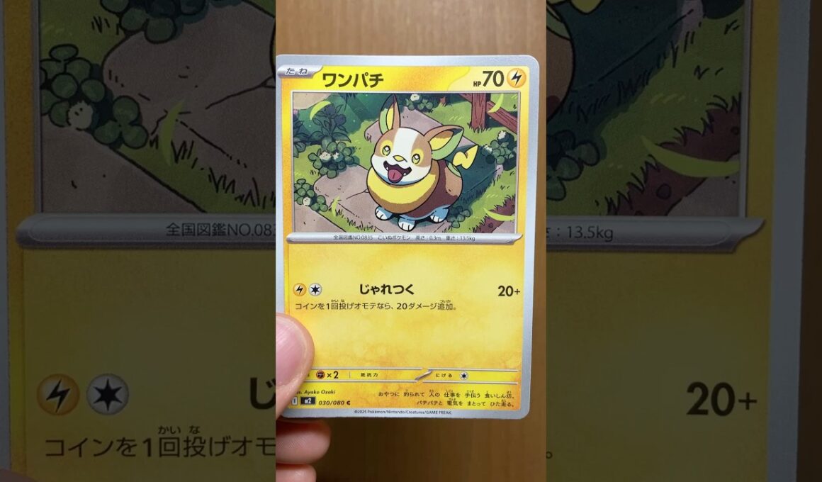 ワンパチのカードを楽しく鑑賞 ポケカ/インフェルノX #ポケモン #pokemon