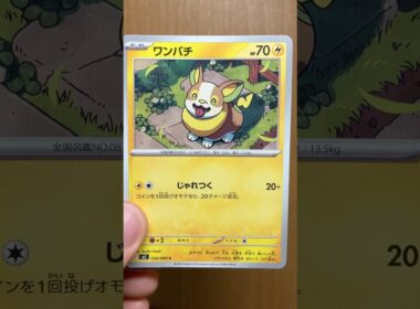 ワンパチのカードを楽しく鑑賞 ポケカ/インフェルノX #ポケモン #pokemon