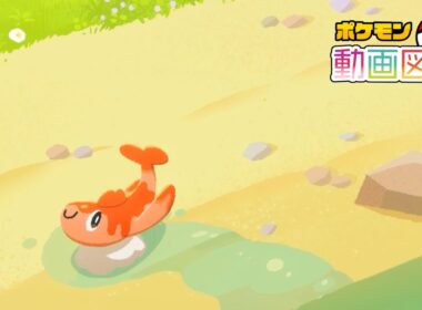 【公式】「ポケモン動画図鑑」No.0978 シャリタツ