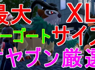 【ポケモンZA】XLゴーゴート大きさ最大サイズ入手場所オヤブン厳選方法【レジェンズza】攻略実況