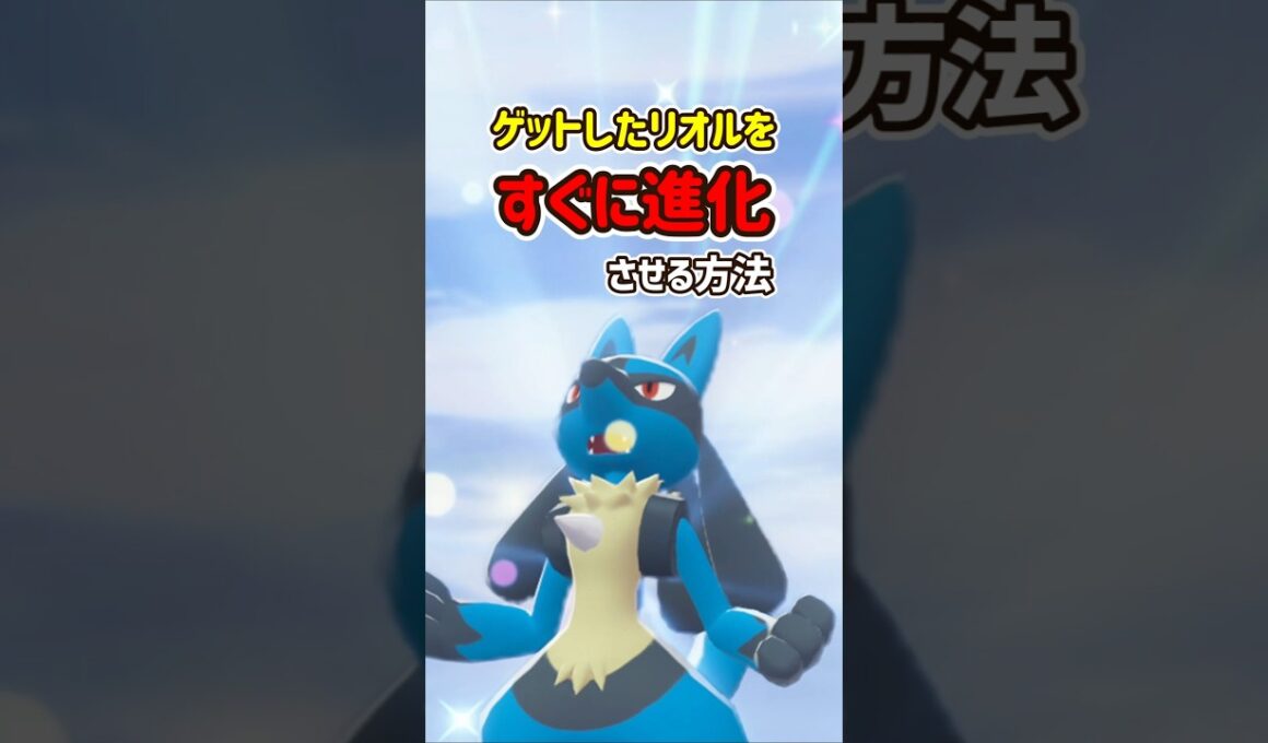【ポケモンZA】リオルの進化方法！ゲットしてすぐにルカリオにできる！#ポケモンza #ポケモン #Shorts