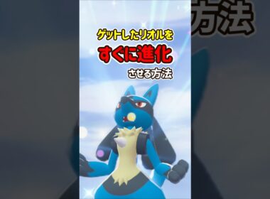 【ポケモンZA】リオルの進化方法！ゲットしてすぐにルカリオにできる！#ポケモンza #ポケモン #Shorts