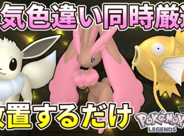 ミミロルやイーブイの色違いを同時にGETできる場所と方法紹介。特にミミロルは効率がいいです。【ポケモン/Pokémon LEGENDS Z-A】