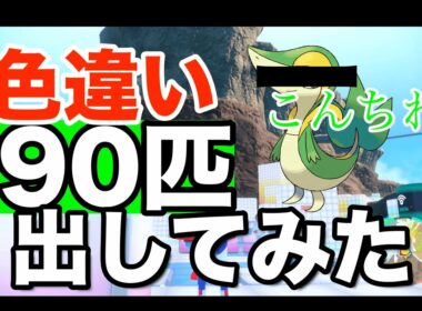 【結構すごい】ツタージャの色違い90匹出してみたぞい【ポケモンsv】【イッシュ地方色違い１ボックス】
