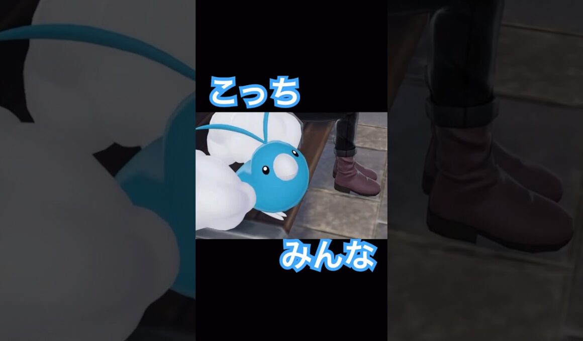 こっち見てくるチルット【ポケモンレジェンズZA】