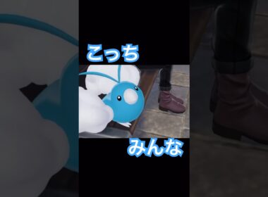 こっち見てくるチルット【ポケモンレジェンズZA】