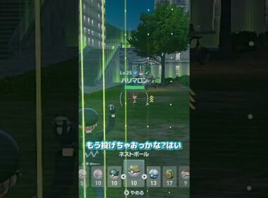 【ポケモンZA】色違いハリマロンを最速ゲット！🌰✨