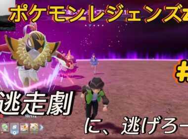 【家族実況#5】メガルチャブルVSメガサーナイト！息子の大逃走劇が始まる。。。