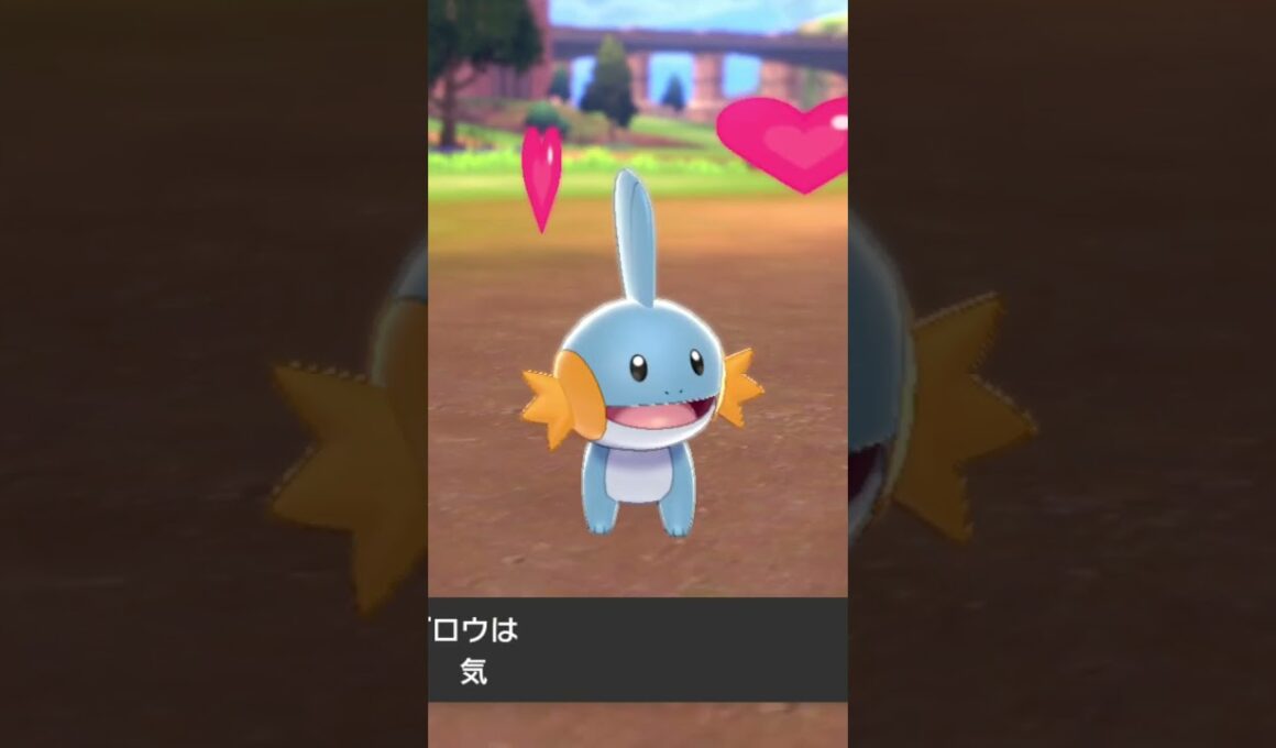 ミズゴロウ Mudkip【ポケモン剣盾】