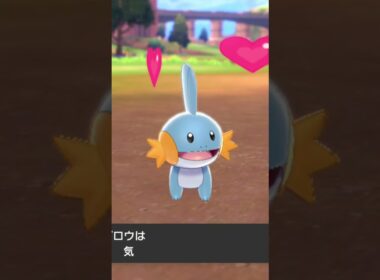 ミズゴロウ Mudkip【ポケモン剣盾】