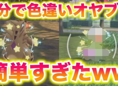 【ぶっ壊れ】色違いオヤブン厳選が5分でできて簡単すぎたwww【レジェンズZA】