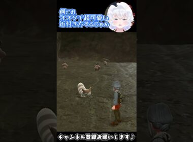 【#ポケモンSV】オオタチ可愛すぎ【碧の仮面配信切り抜き】#shorts