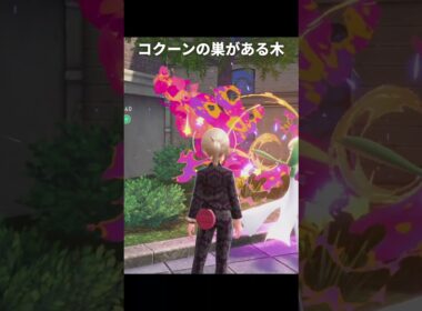 【ポケモンZA】コクーンの巣が最高に気持ち悪い理由【ポケモンレジェンズZA】