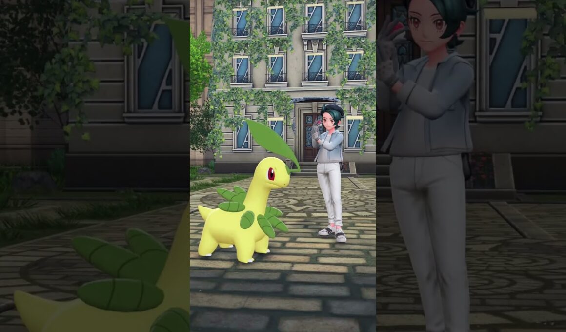 ベイリーフと撮影【Pokémon LEGENDS Z-A】#ポケモンレジェンズza #pokemonlegendsza #ポケモン #ポケモンza #pokemon