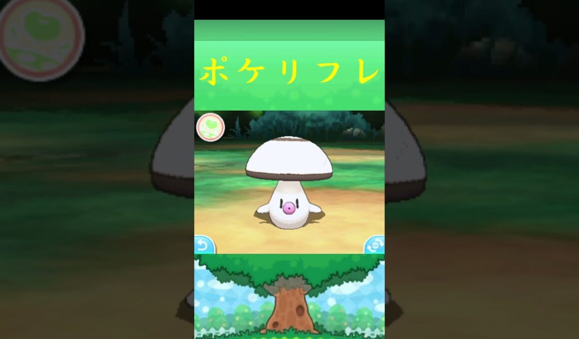 タマゲタケ*ポケモン ポケリフレ ポケパルレ #ポケモン #Pokemon  #3DS #nintendoswitch #ポケモンsv #ポケモン #キャンプ #サンドイッチ #ピクニック